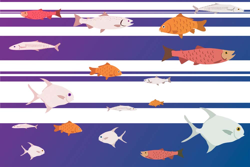 Vissen- en strepenbehang – paars en marineblauw onderwaterfotobehang