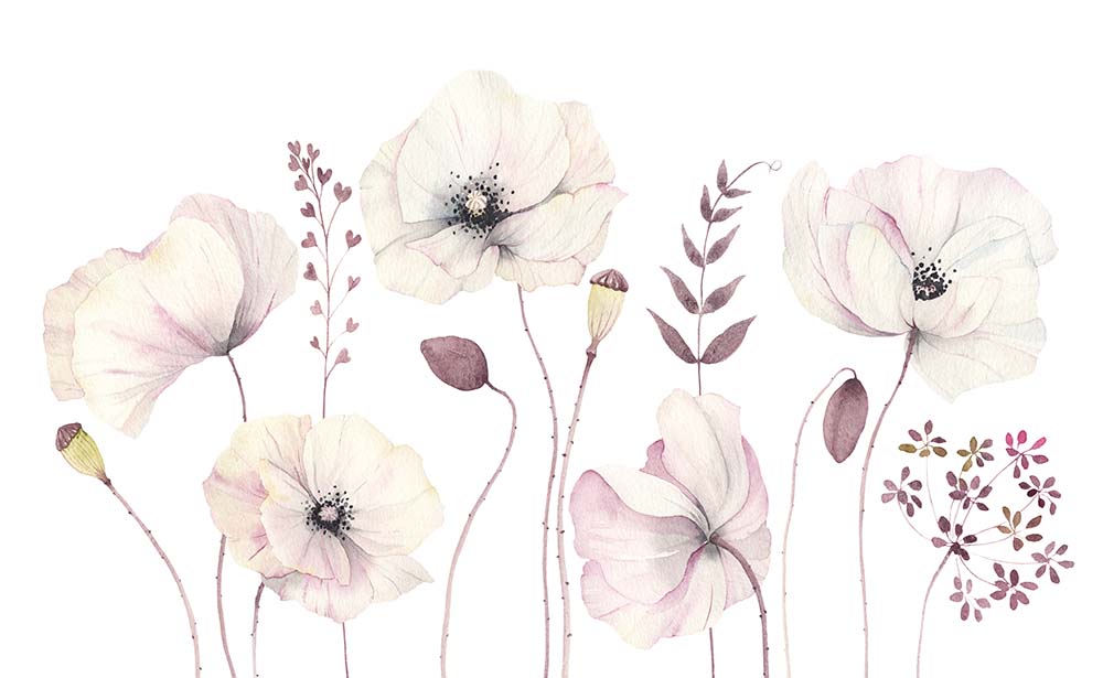 Delicate Watercolor Poppy Flowers Wall Mural - Soft Pink and White Floral Wallpaper