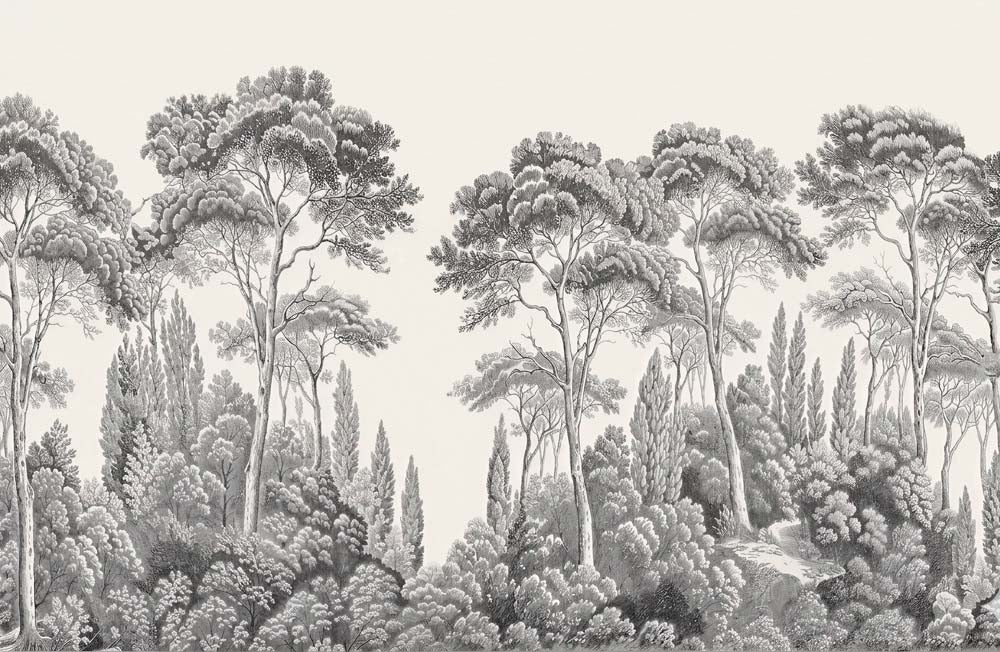 Gravura de selva em preto e branco – papel de parede toile com árvores tropicais