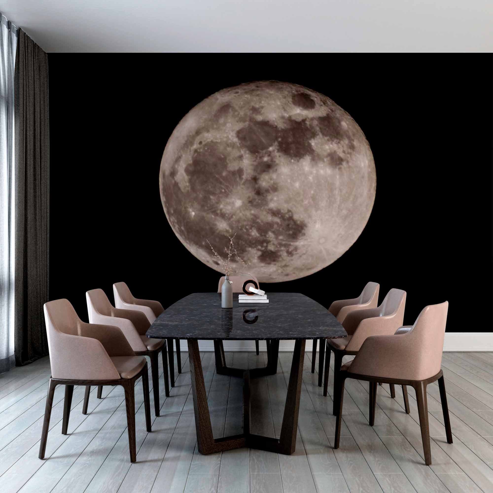 Full Moon Against Night Sky Wall Mural Wallpaper