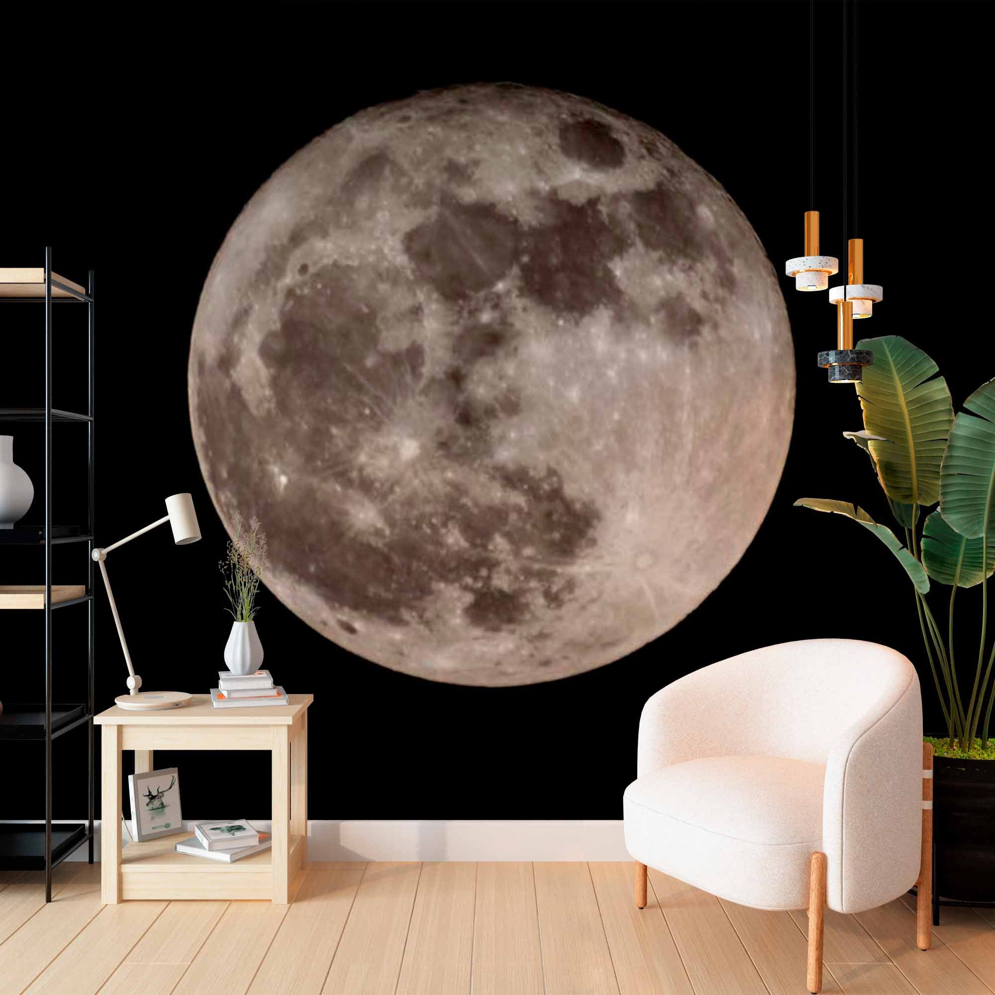 Full Moon Against Night Sky Wall Mural Wallpaper