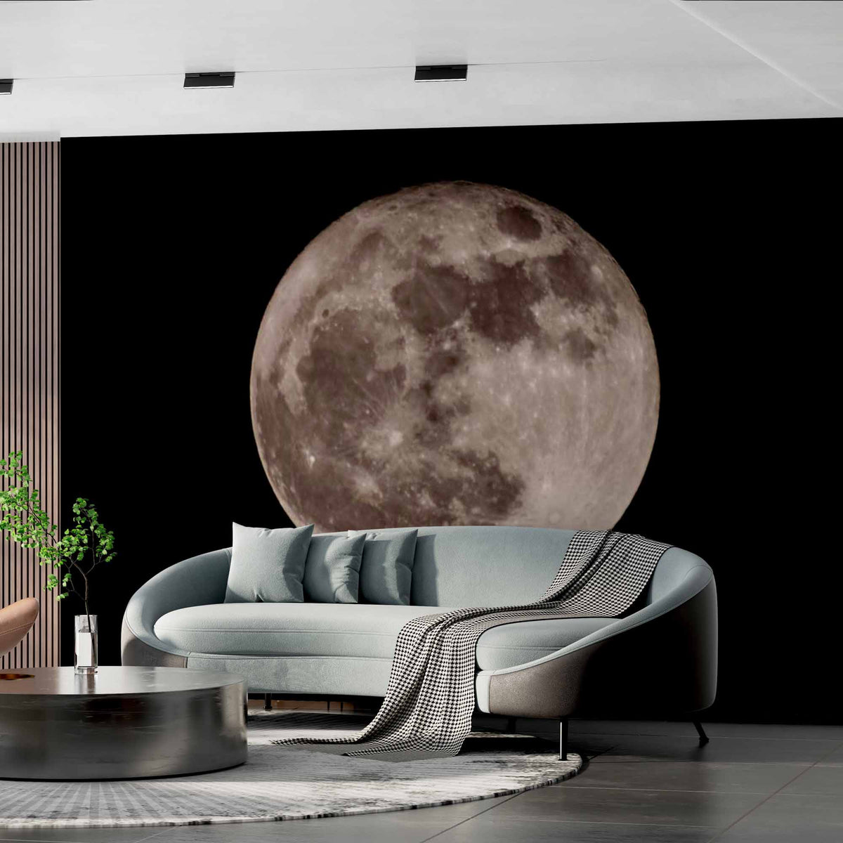 Custom Full Moon Against Night Sky Wall Mural Wallpaper