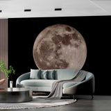 Full Moon Against Night Sky Wall Mural Wallpaper