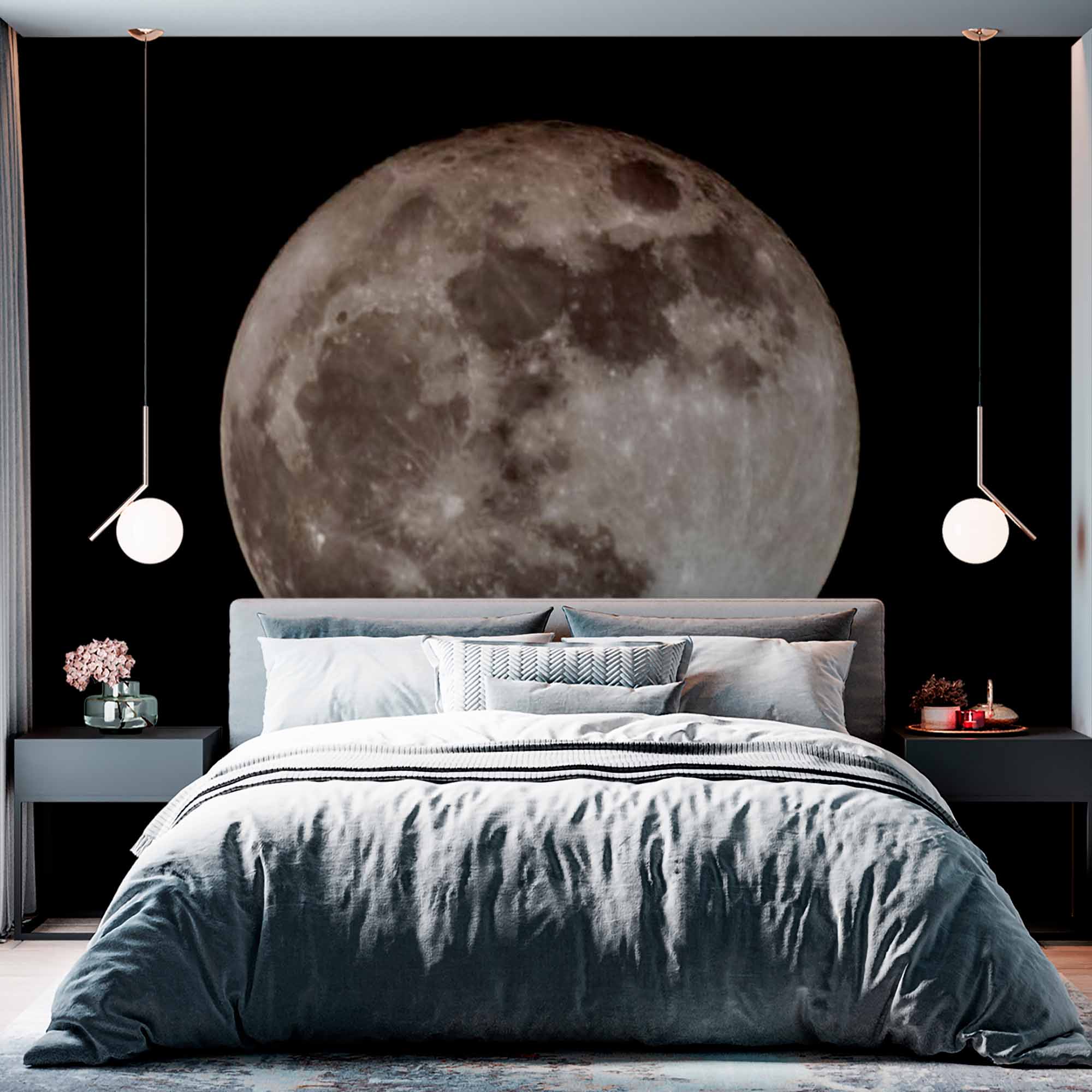 Full Moon Against Night Sky Wall Mural Wallpaper