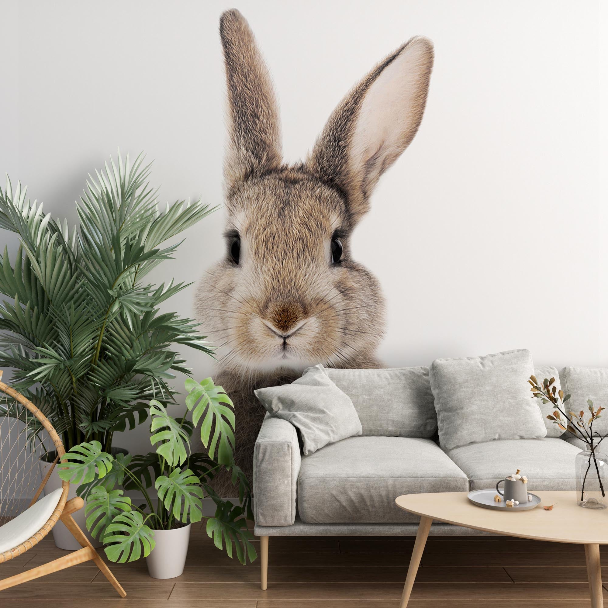 Colorful Rabbit Wall Mural Cute Bunny Wallpaper