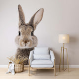 Colorful Rabbit Wall Mural Cute Bunny Wallpaper