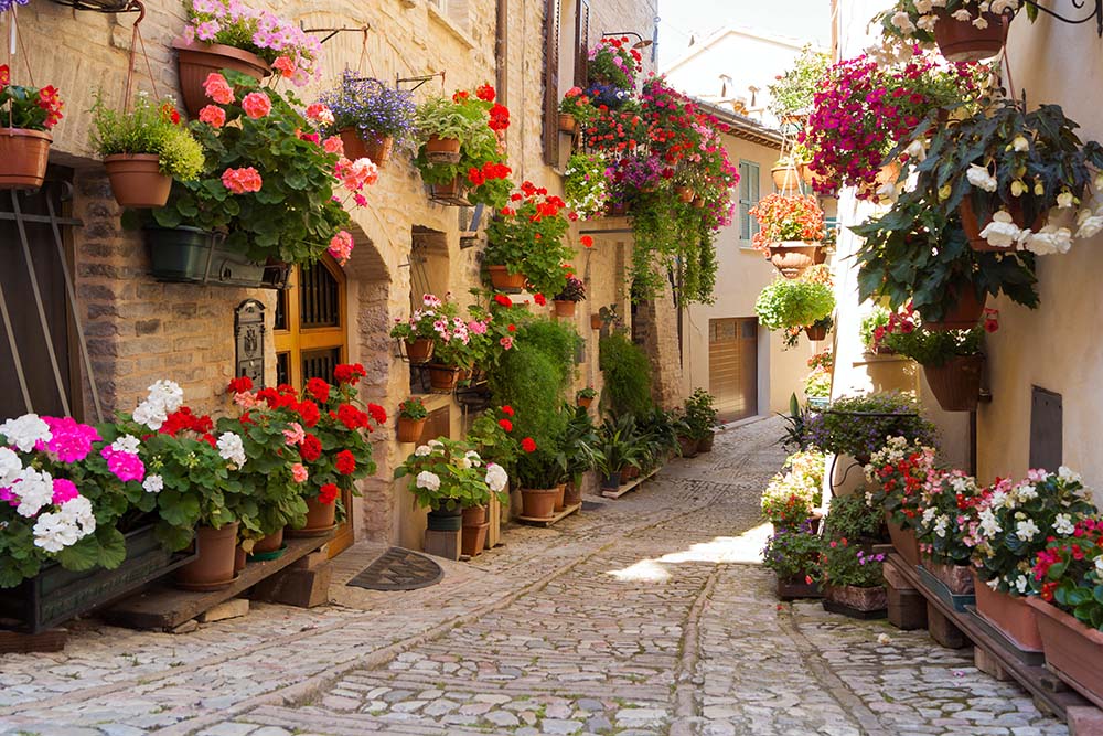 Fotobehang met mediterrane steeg – geplaveide straat met bloempotten