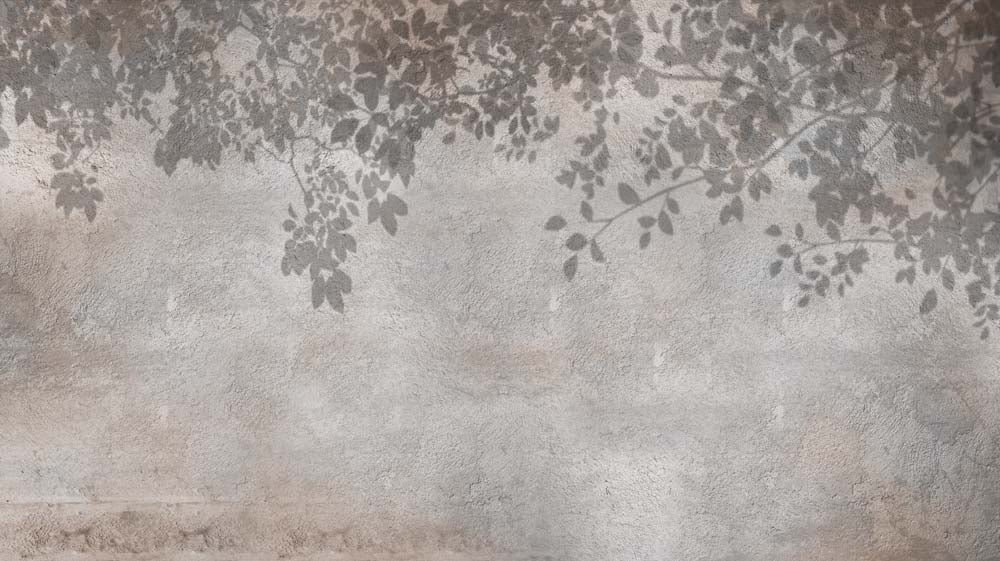 Folhas sombreadas – papel de parede de folhagem vintage sobre concreto rústico