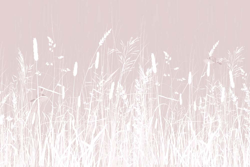 Witte grassen op blush behang – minimalistische weidesilhouetten fotobehang