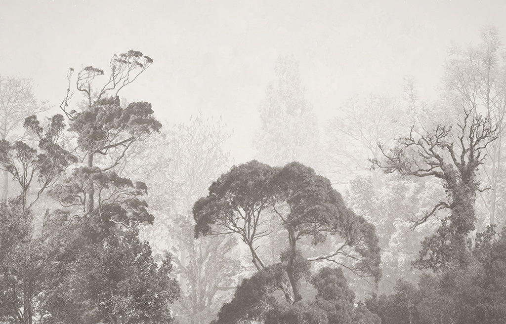 Mistig grijs bosfotobehang – vintage monochrome bomen