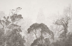 Custom Tranquil Misty Forest in Grayscale Wall Mural Wallpaper