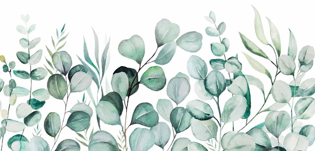 Eucalyptusblaadjesbehang – groen botanisch aquarelfotobehang