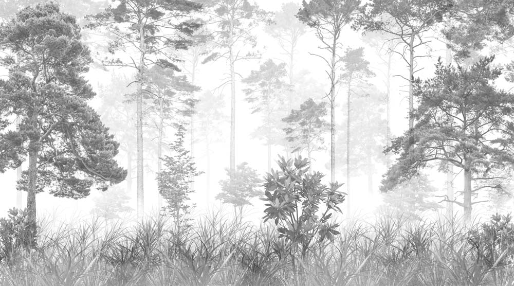 Zwart-wit nevelig bos behang – monochrome bomen en grassen fotobehang