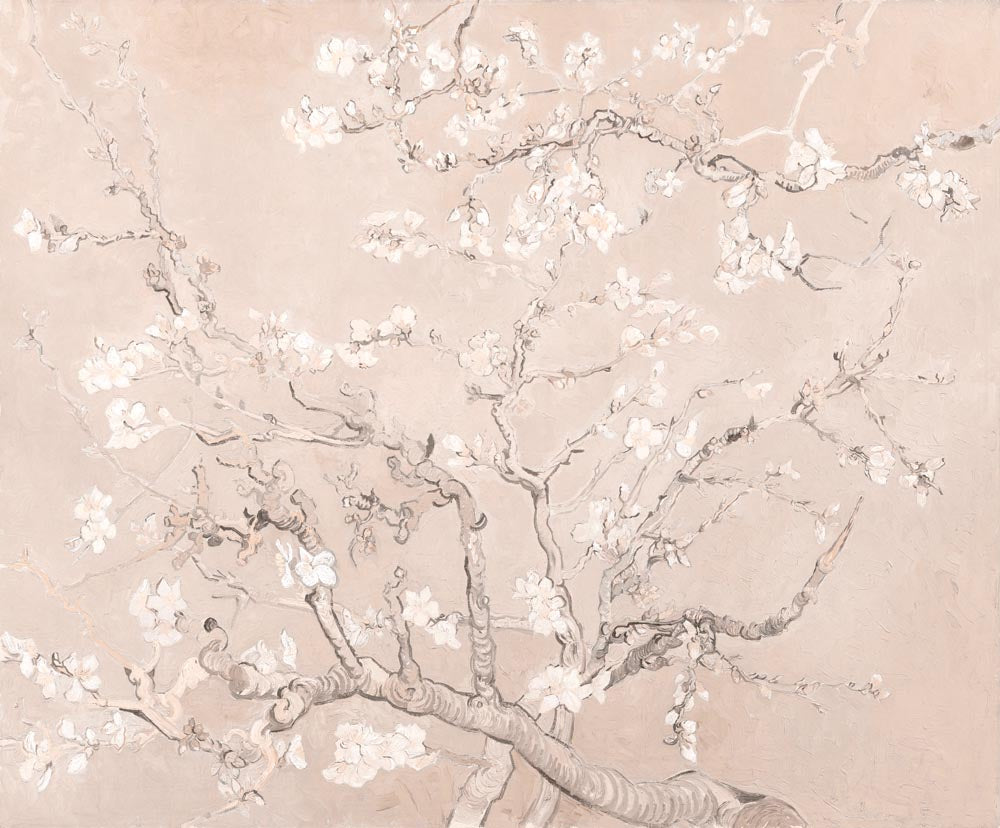 Blush Pink Almond Blossom Wall Mural Spring Branch Wallpaper