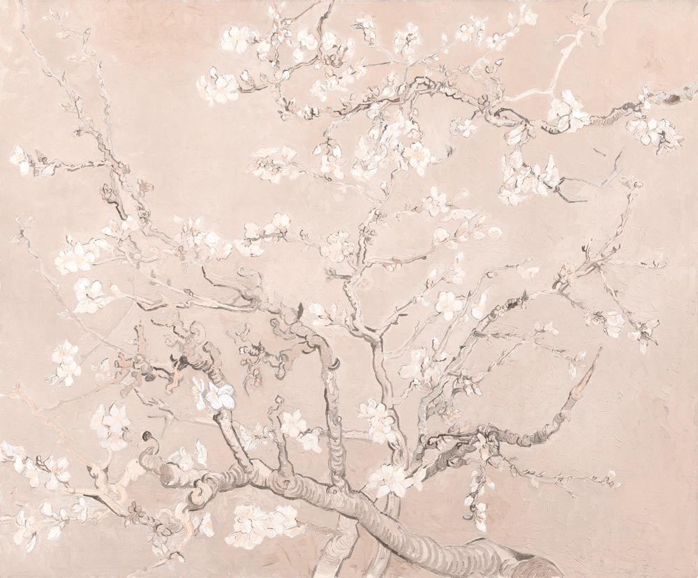 Blush Almond Blossom Wallpaper – Pink Spring Branch Wall Mural