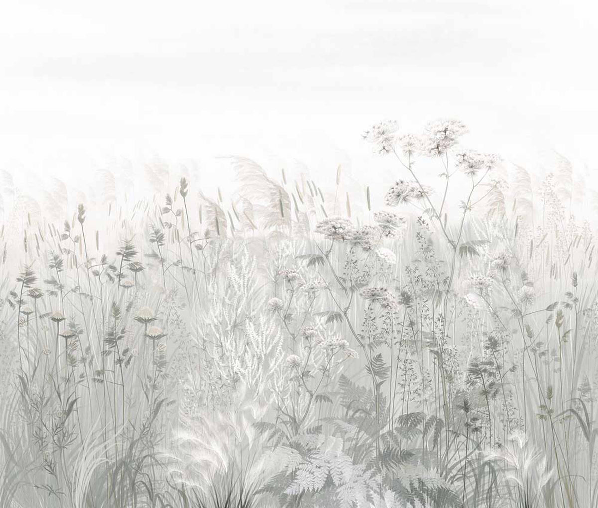 Papel pintado de flores silvestres grises – Mural de delicadas hierbas de pradera