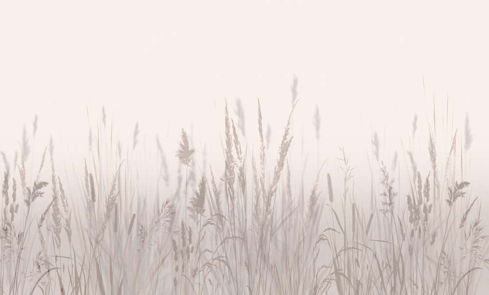 Tapete Malven-Wiesengräser – Sanfte Wildgras-Silhouetten, Wandbild