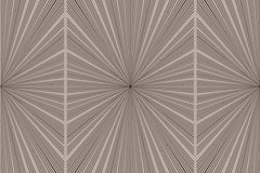 Custom Dynamic Radiating Lines Wall Mural Wallpaper - Monochrome Brown Geometric Design