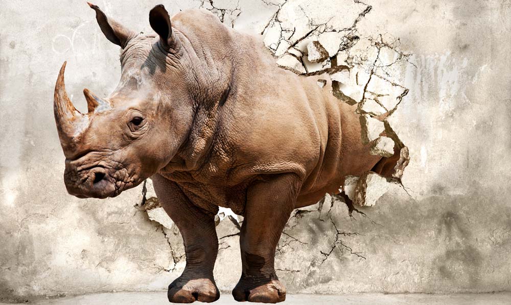 Fototapete 3D-Nashorn – Wildtier-Wandbild, das die Wand durchbricht