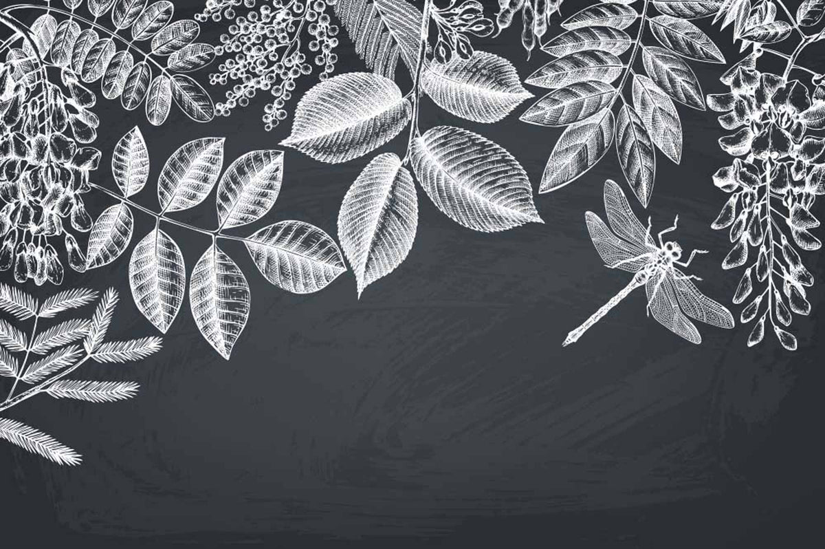 Botanisch krijtbordbehang – witte bladeren en libel op zwart