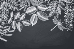 Custom Chalkboard Botanical Mural Wallpaper - Intricate White Leaf and Dragonfly Design