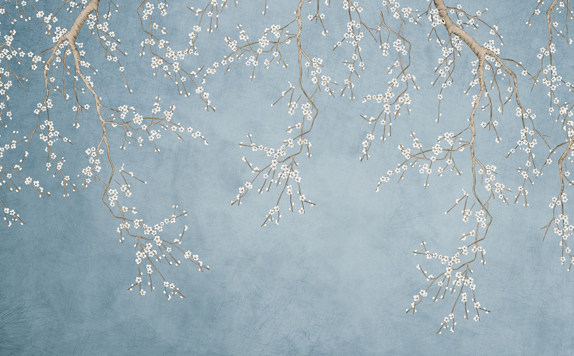 Dusty blue textured wallpaper with white cherry blossom branches hanging from the top.