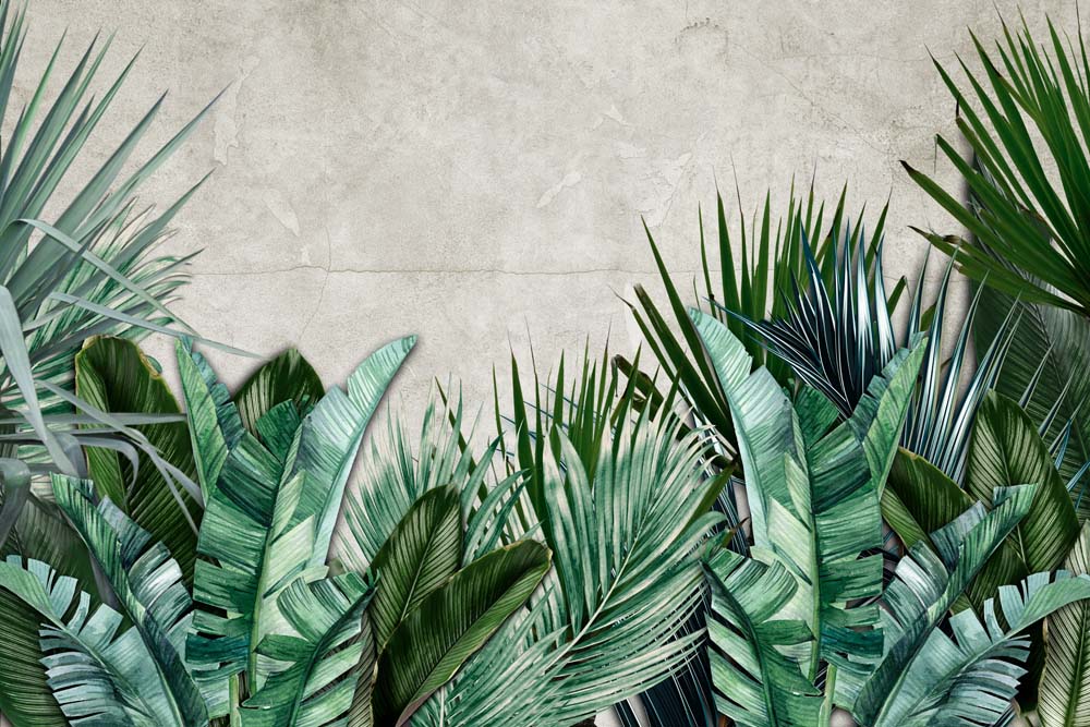 Tropical Leaves Wall Mural Jungle Wallpaper Palm and Banana Leaf