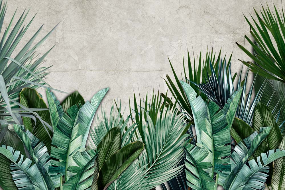 Junglebehang met bananenbladeren – tropische muur met palmbladeren op beton
