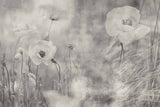 Ethereal Black and White Floral Mural Wallpaper - Dreamy Poppies in Misty Landscape