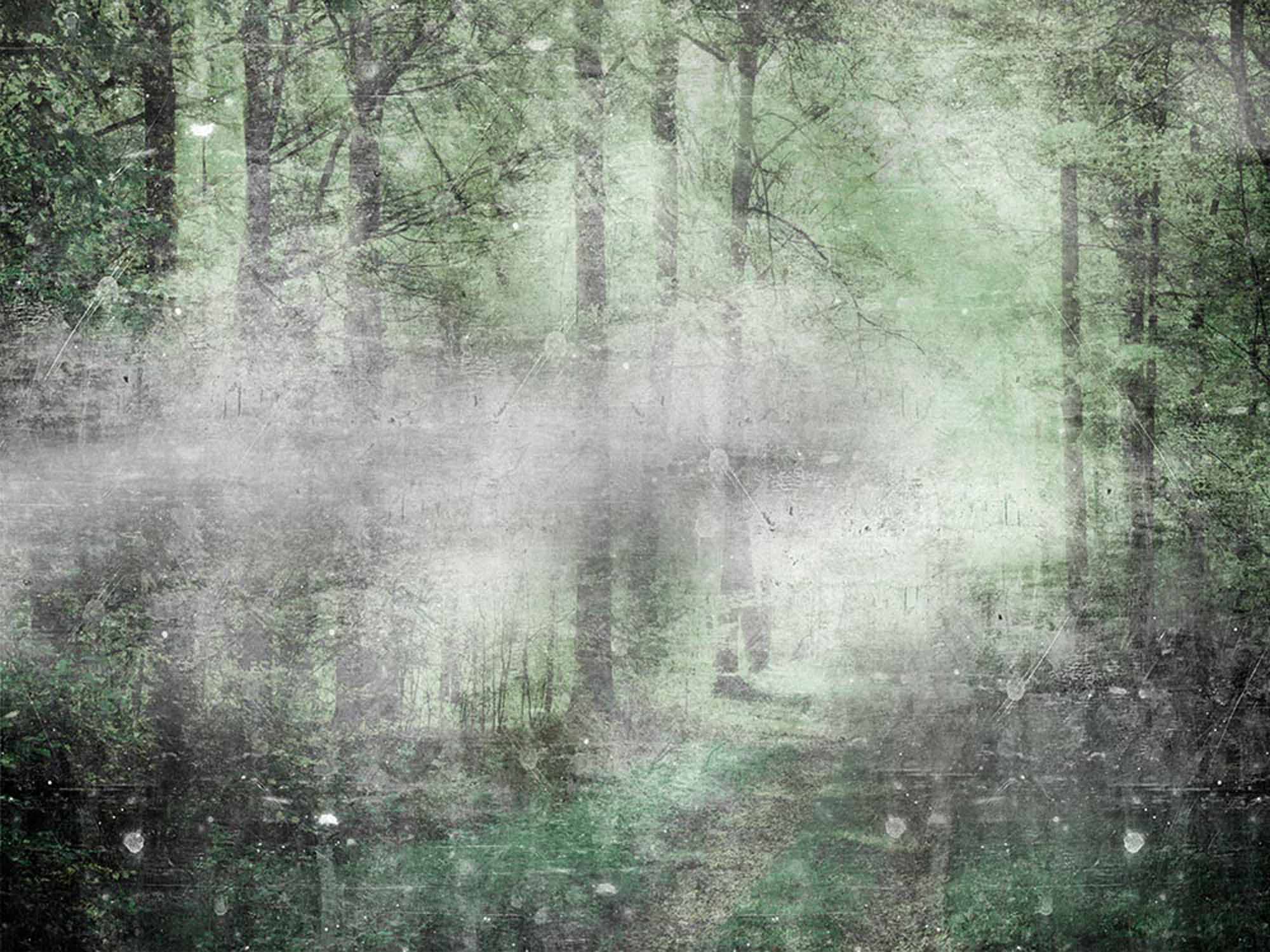 Grunge Misty Forest Wall Mural Wallpaper - Textured Woodland with Foggy Atmosphere