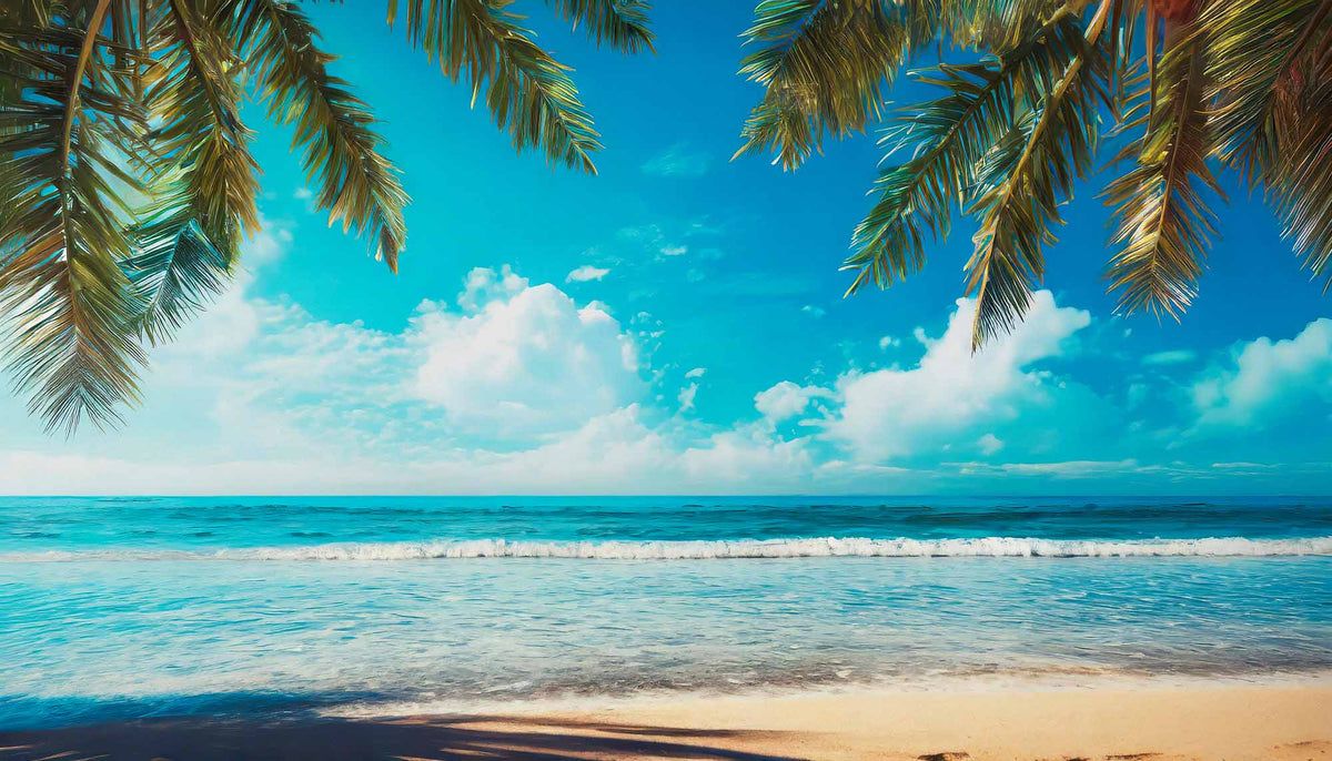Papier peint océan bordé de palmiers – Papier peint panoramique vue sur plage tropicale