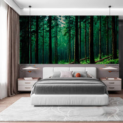 Custom Mystical Pine Forest Wallpaper