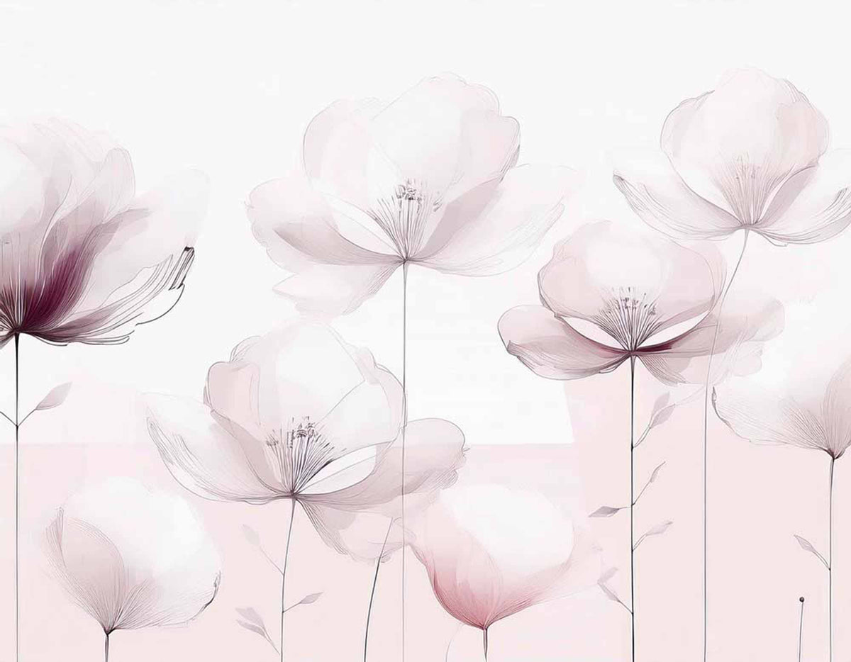 Fototapete Durchscheinende rosa Blumen – Zarter Mohn auf Weiß