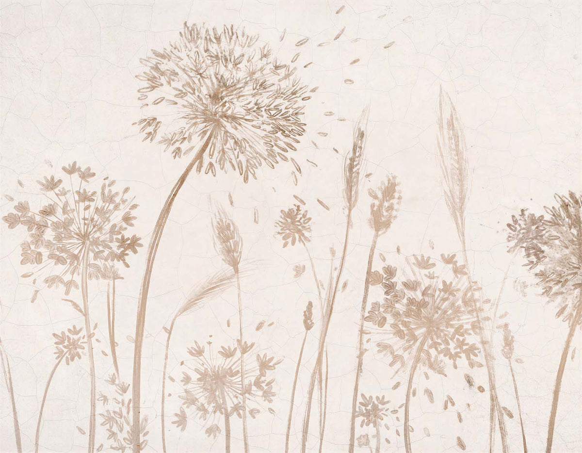 Papier peint pissenlits et herbes beiges – Panoramique silhouettes botaniques douces
