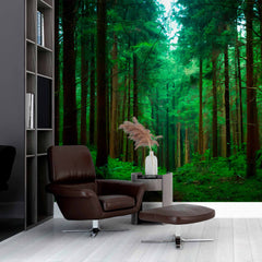 Custom Enchanted pine forest Wallpaper on the wall