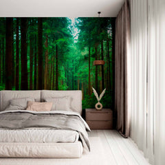 Custom Enchanted pine forest Wallpaper on the wall