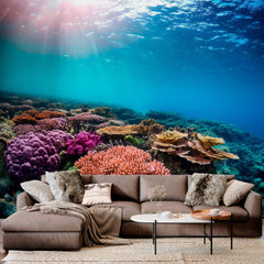 Custom Tropical Coral Reef Beauty Wallpaper