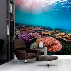 Custom Tropical Coral Reef Beauty Wallpaper