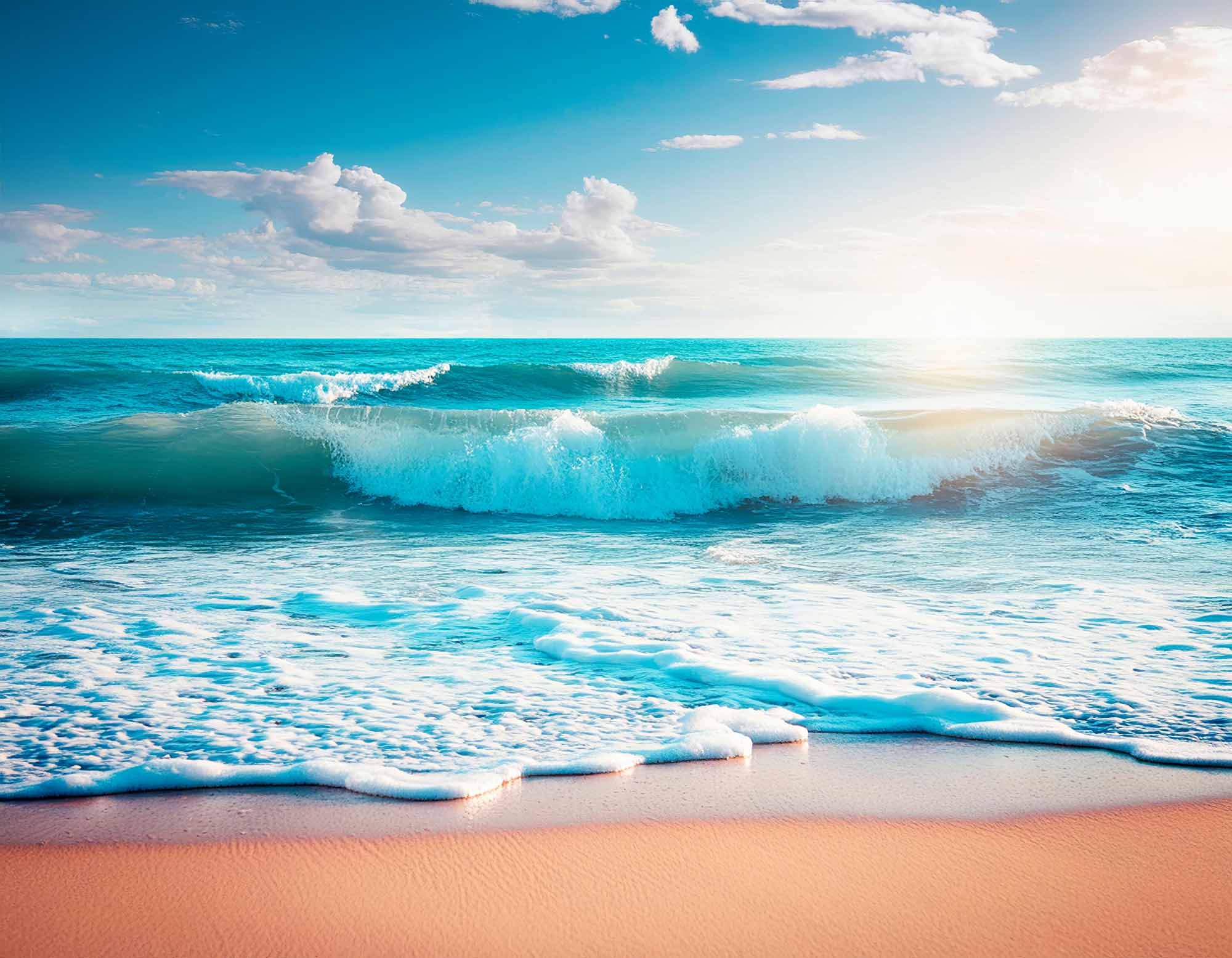 Sunlit Ocean Shore Wallpaper