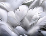 White Feathers 3D Wall Mural Wallpaper