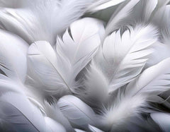 Custom White Feathers 3D Wall Mural Wallpaper