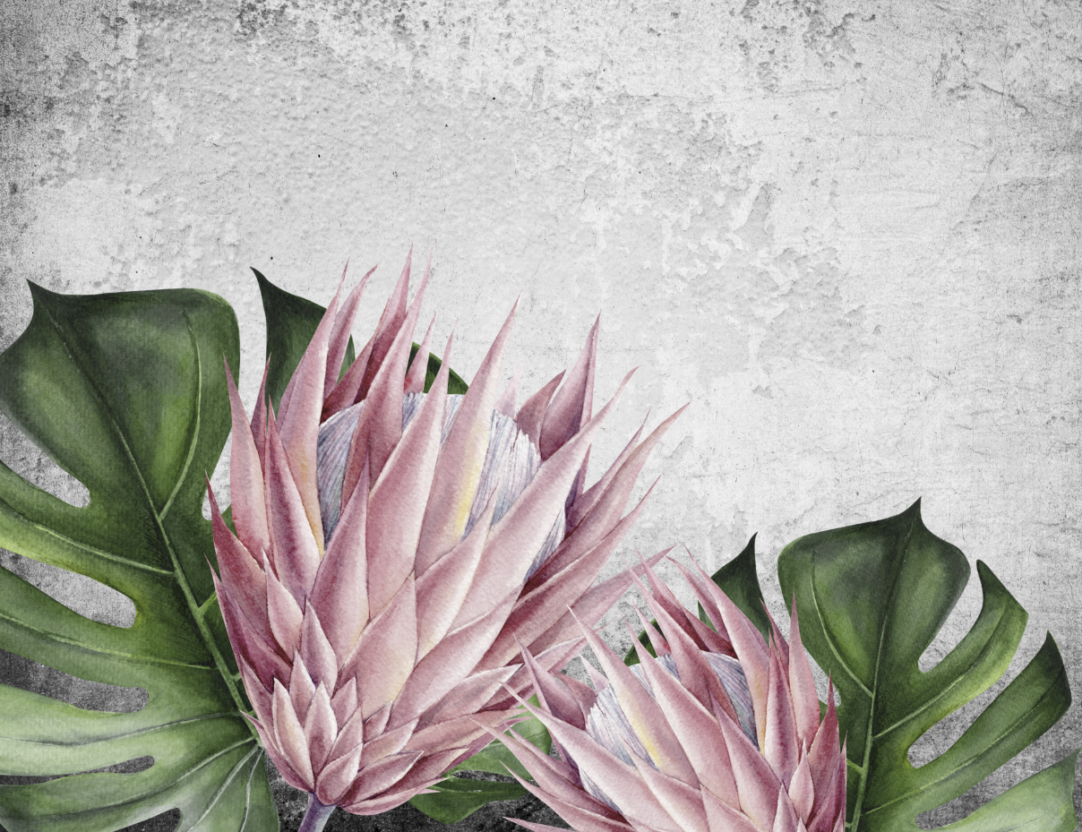 Protea Art Wall Mural Concrete Blackground Botanical Wallpaper