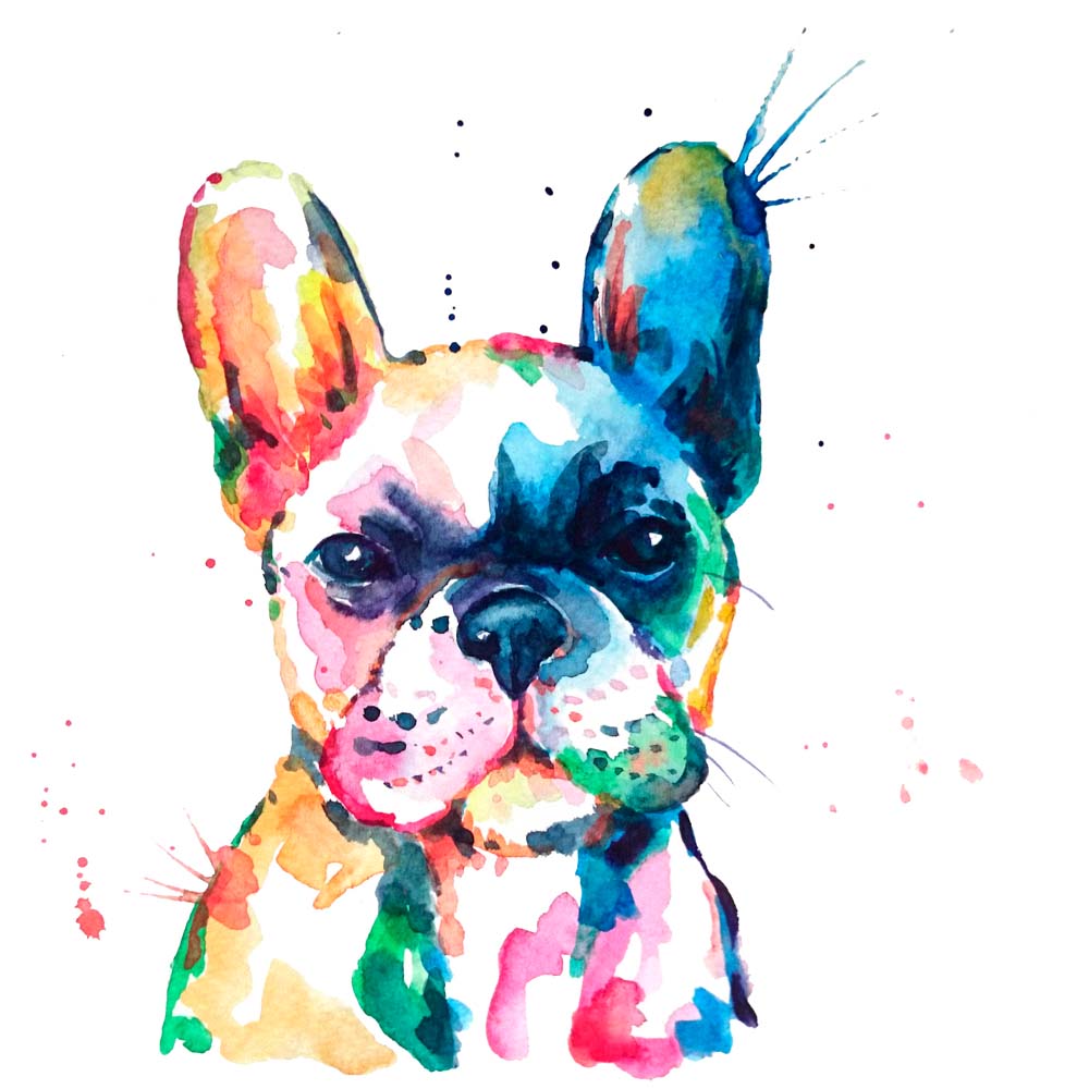 Fototapete Aquarell-Französische-Bulldogge – Buntes Hundeporträt
