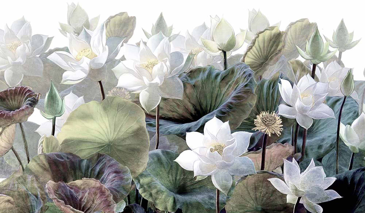 Fototapete Lotusteich – Weiße Lotusblüten und grüne Blätter