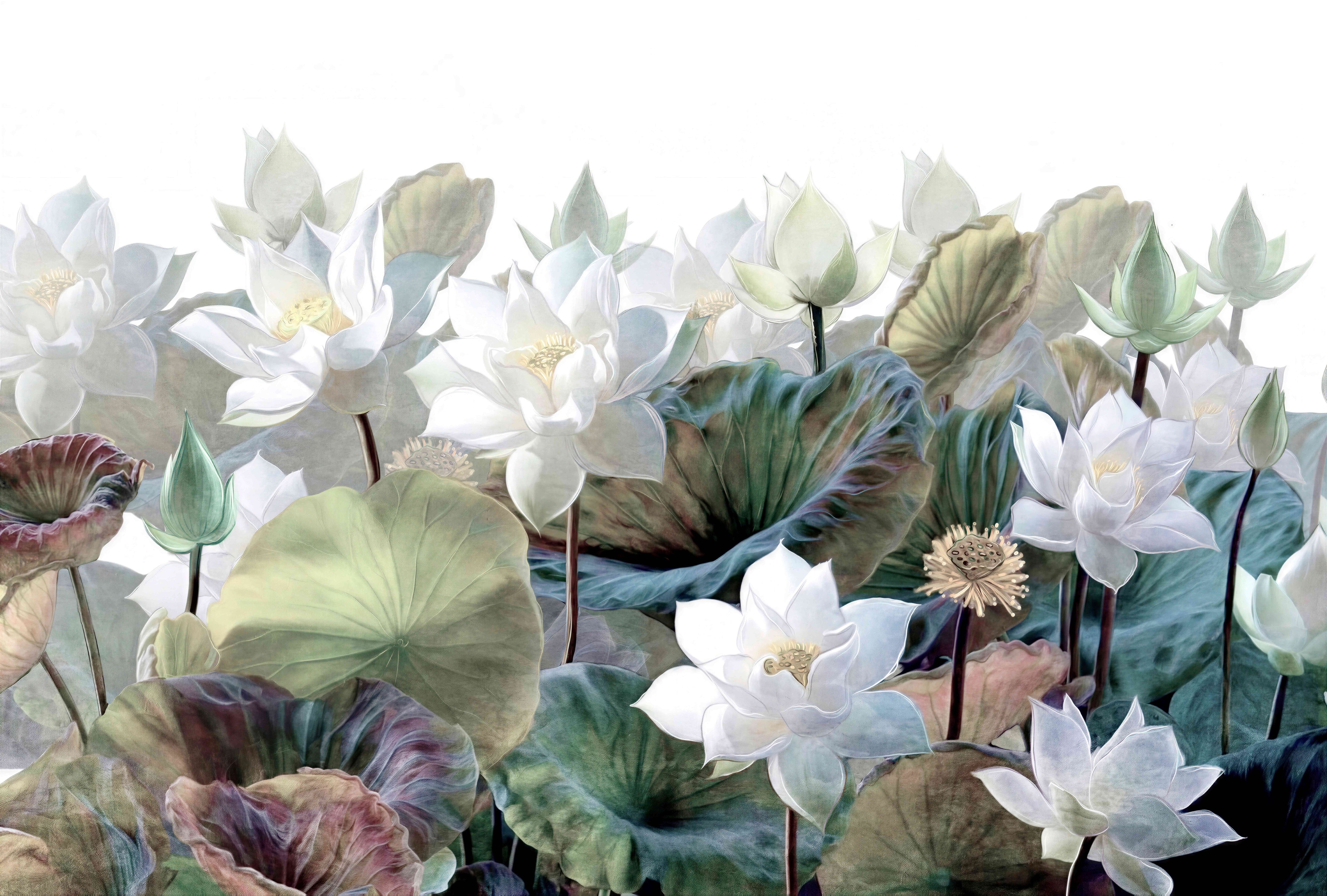 Wallpaper with large realistic white lotus flowers and sage, teal and burgundy lotus leaves on a white background.