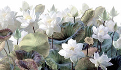 Custom Serene Lotus Pond Mural Wallpaper - Elegant White Lotus Flowers and Lush Green Leaves