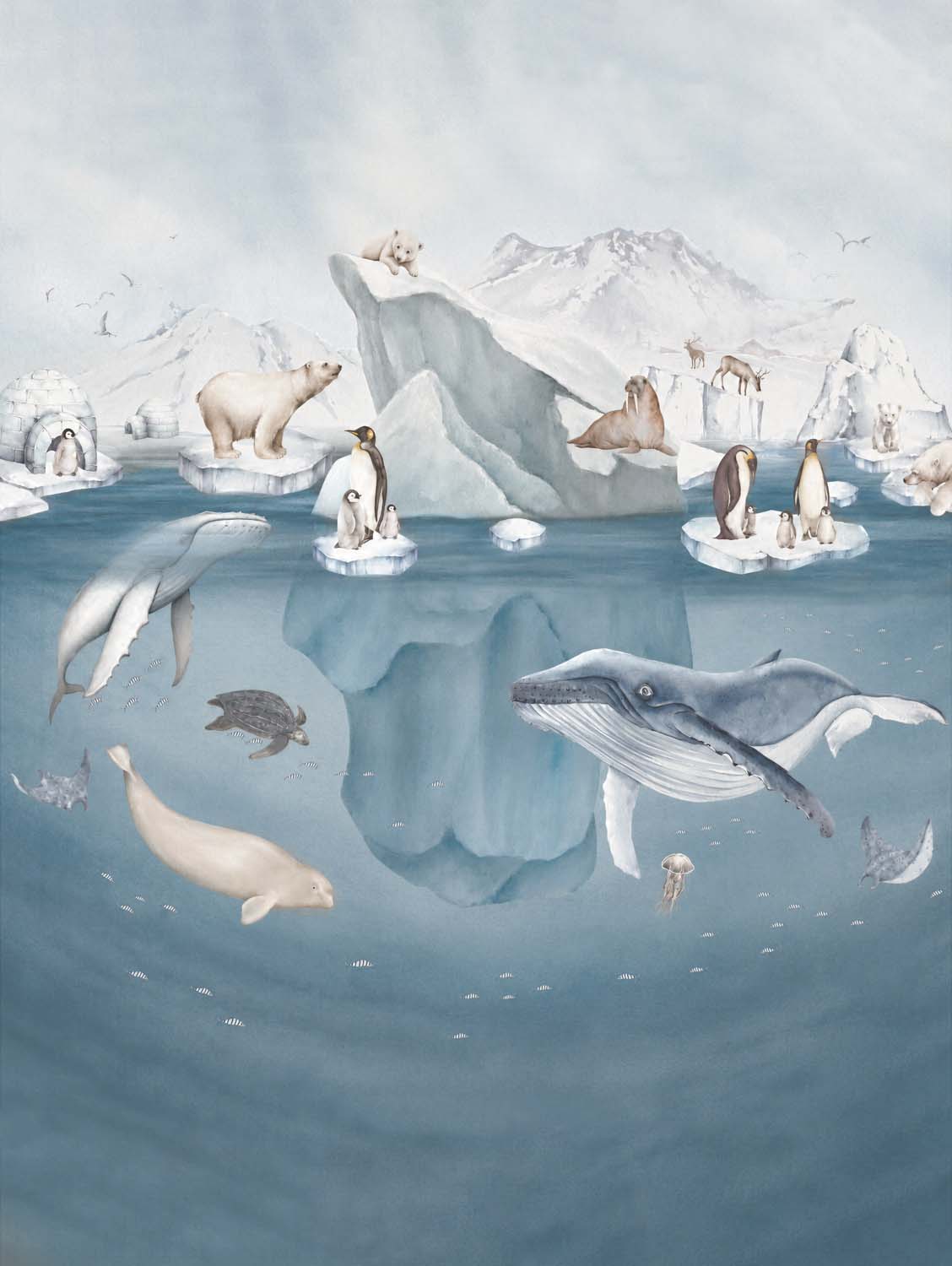 Poolsdieren behang – walvissen, pinguïns en ijsberen kinderfotobehang