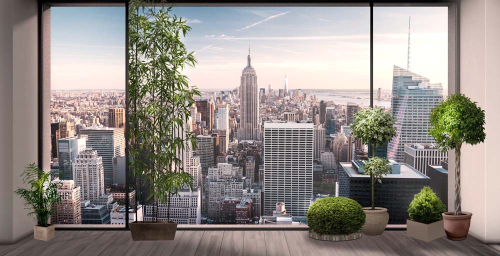 Modern Urban View Wall Mural - New York City Skyline with Indoor Greenery