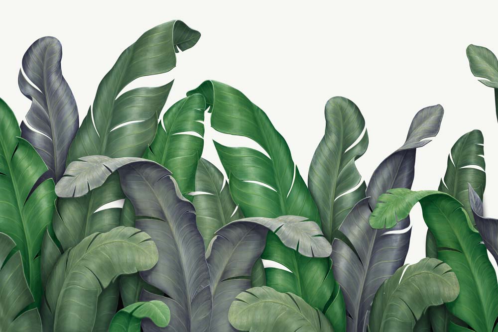Groen bananenbladbehang – realistisch tropisch fotobehang met rand