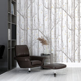 Whimsical Birch Forest with Stars Wall Mural Wallpaper